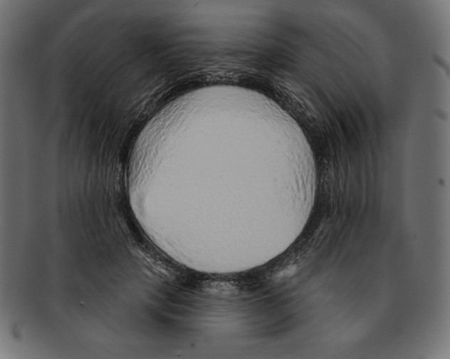 X0000092040649200710100958