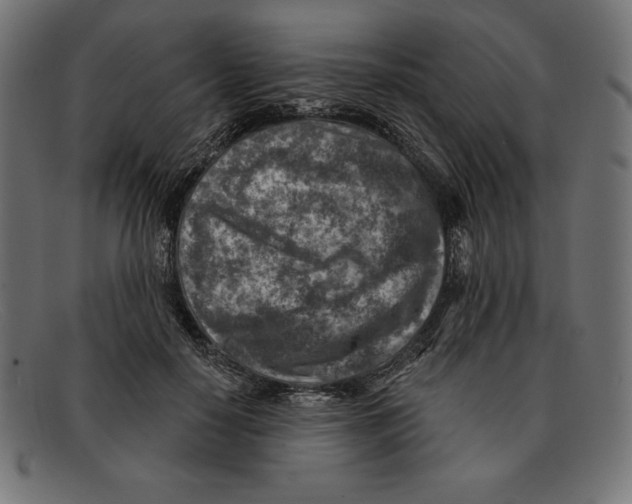 X0000092040650200710100958