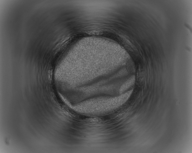 X0000092040652200710100958