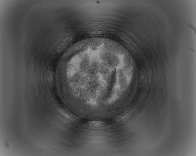 X0000092040654200710100958