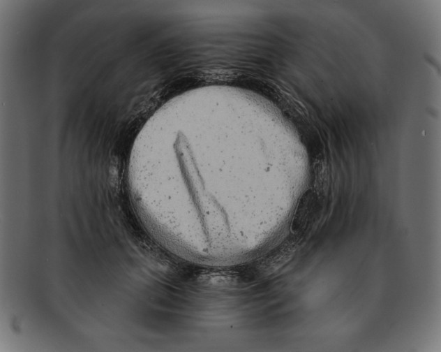 X0000092040655200710100958