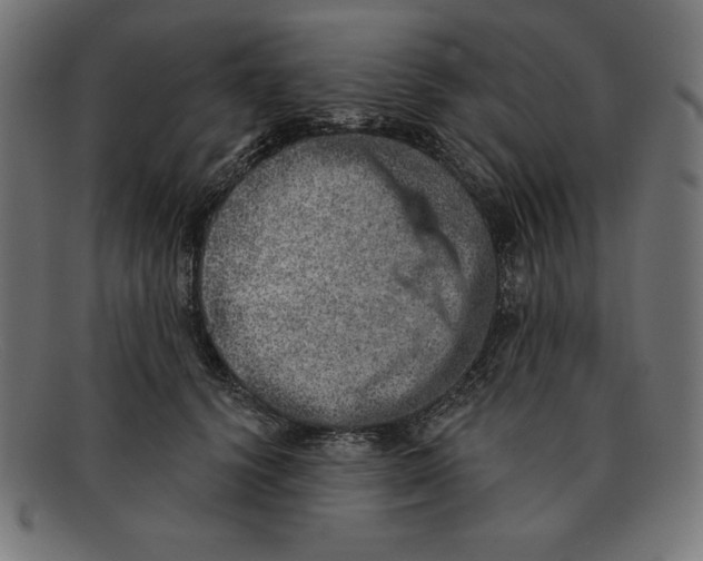 X0000092040656200710100958