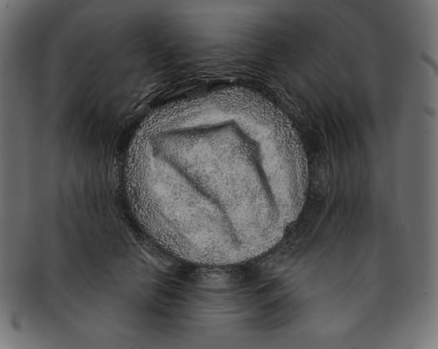 X0000092040658200710100958