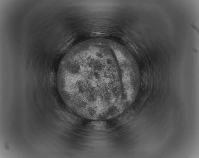 X0000092040659200710100958