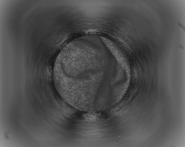 X0000092040661200710100958