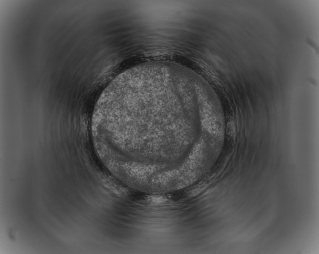 X0000092040662200710100958