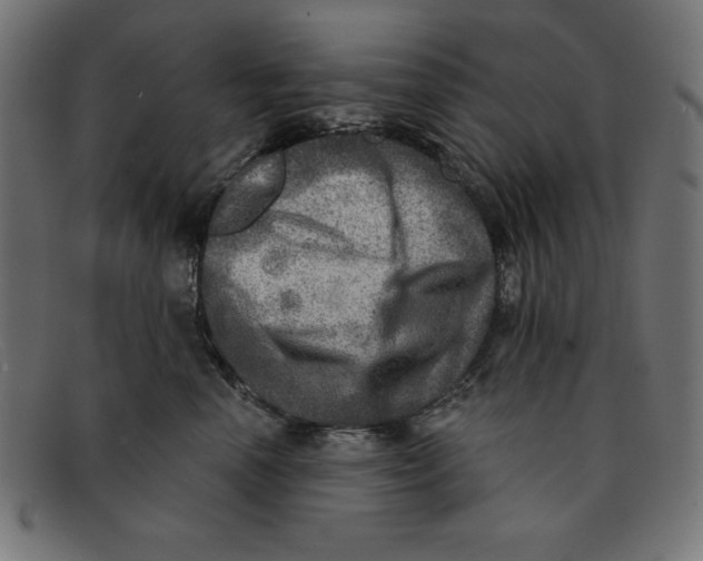 X0000092040666200710100958