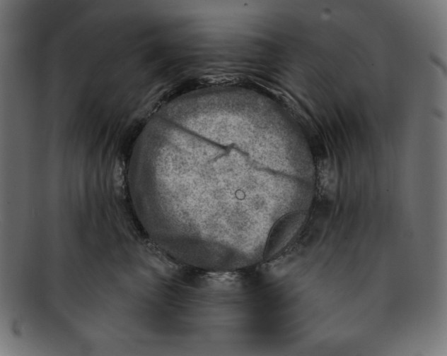 X0000092040667200710100958