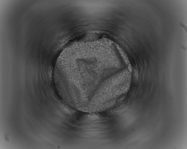 X0000092040668200710100958