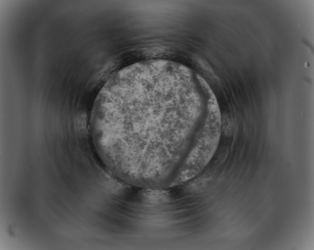 X0000092040670200710100958