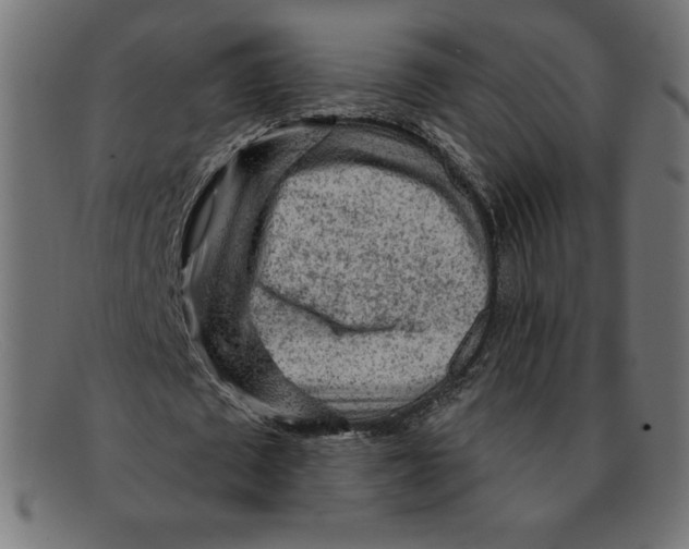 X0000092040673200710100958