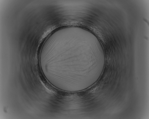 X0000092040674200710100958