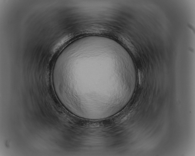 X0000092040675200710100958