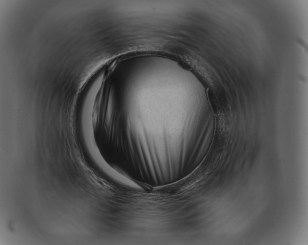 X0000092040676200710100958