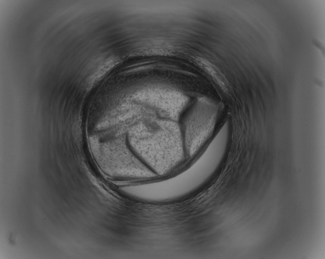 X0000092040677200710100958