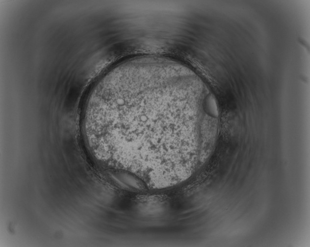 X0000092040679200710100958