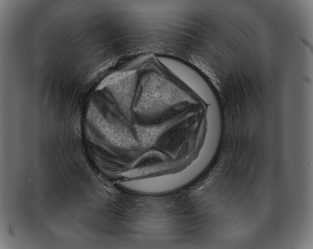 X0000092040681200710100958