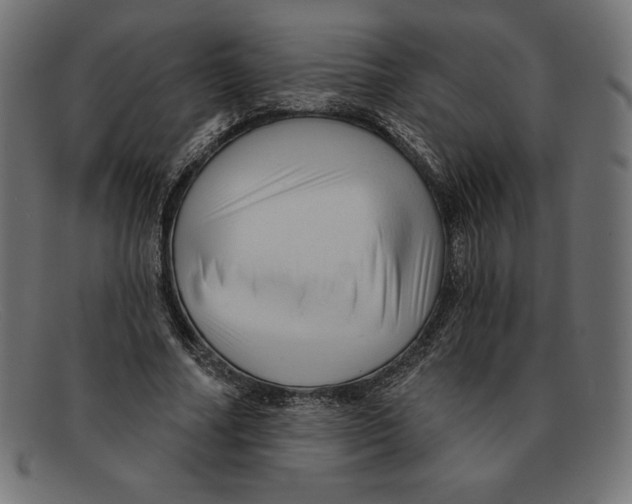 X0000092040682200710100958