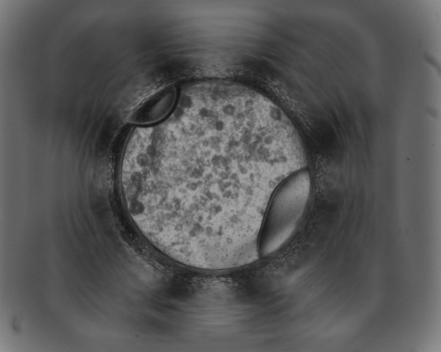 X0000092040683200710100958