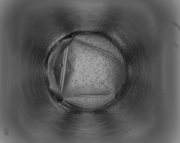 X0000092040684200710100958