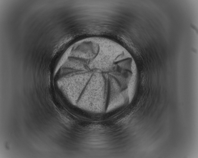 X0000092040685200710100958