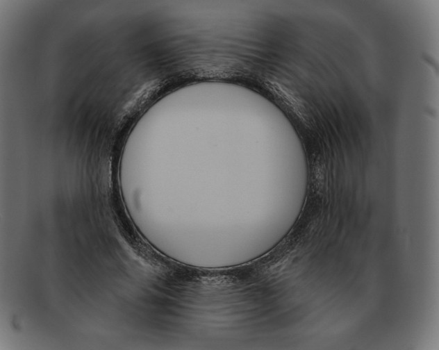 X0000092040686200710100958