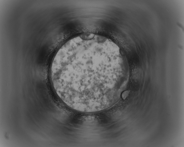 X0000092040687200710100958