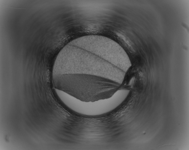 X0000092040689200710100958