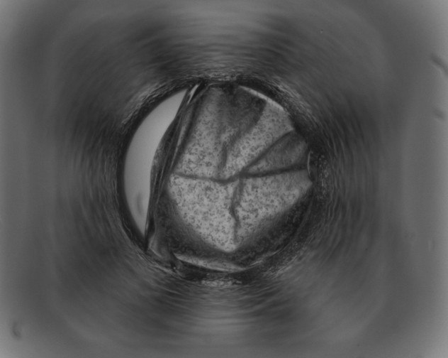 X0000092040693200710100958