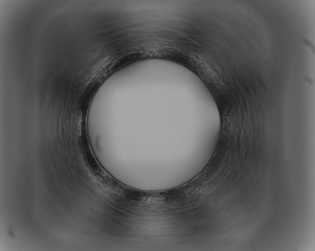 X0000092040694200710100958