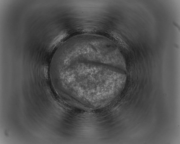 X0000092040696200710100958