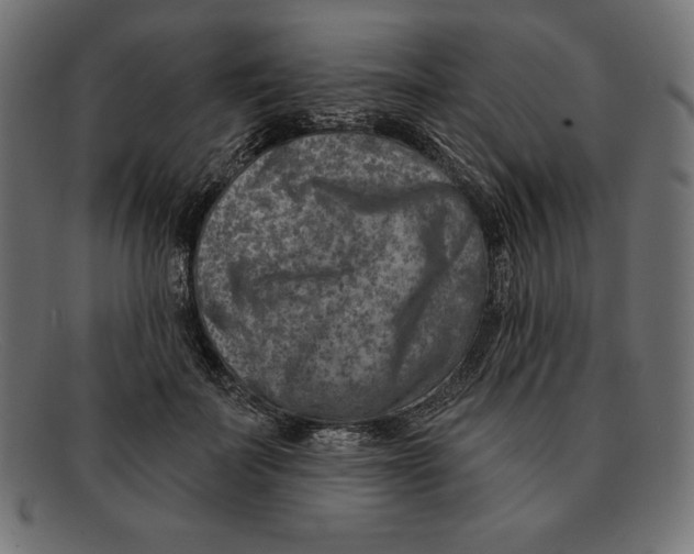 X0000092040699200710100958