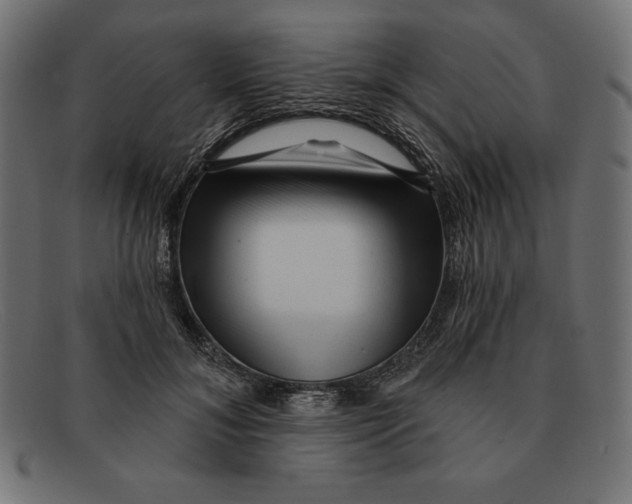 X0000092040700200710100958