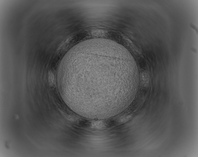 X0000092040705200710100957