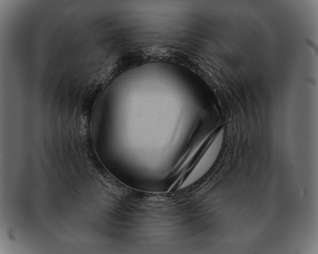 X0000092040708200710100957