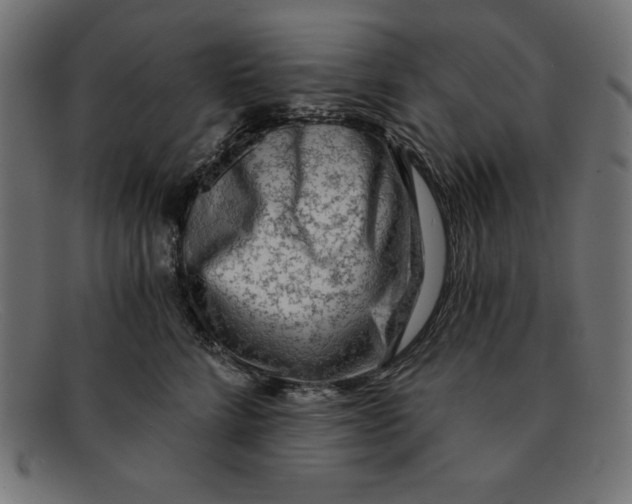 X0000092040712200710100957