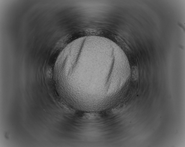 X0000092040713200710100957