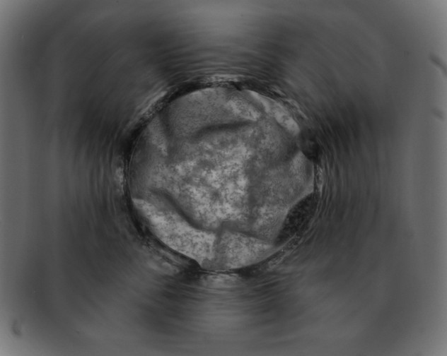 X0000092040716200710100957