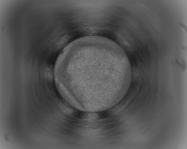 X0000092040719200710100957