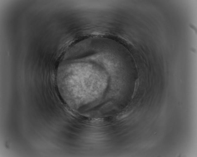 X0000092040720200710100957