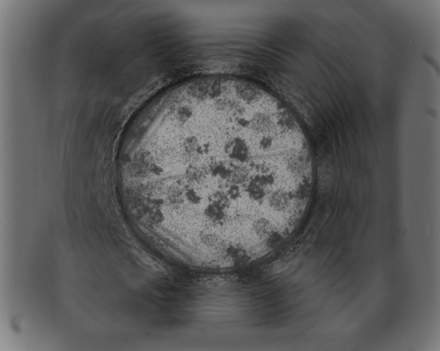 X0000092040721200710100957