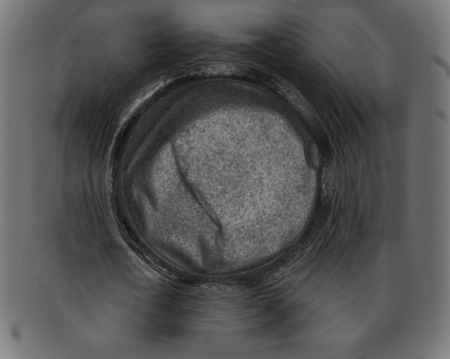 X0000092040722200710100957