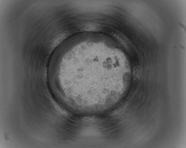 X0000092040725200710100957