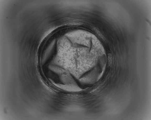 X0000092040726200710100957