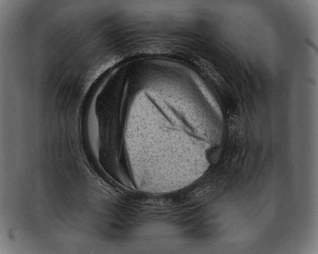 X0000092040727200710100957