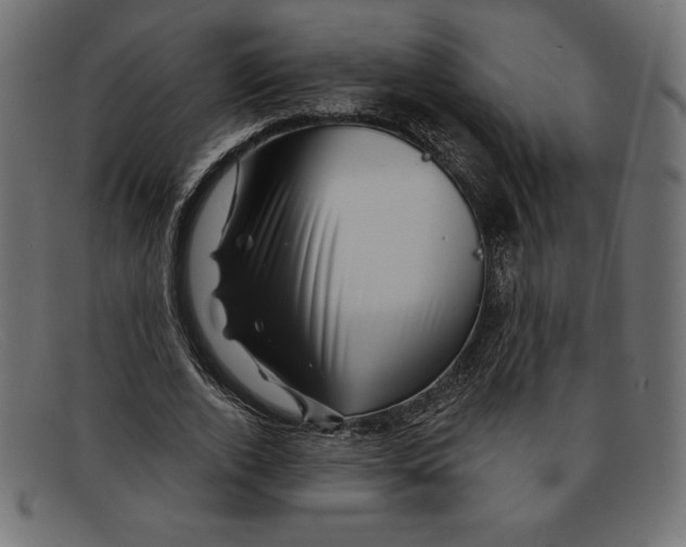 X0000092040728200710100957