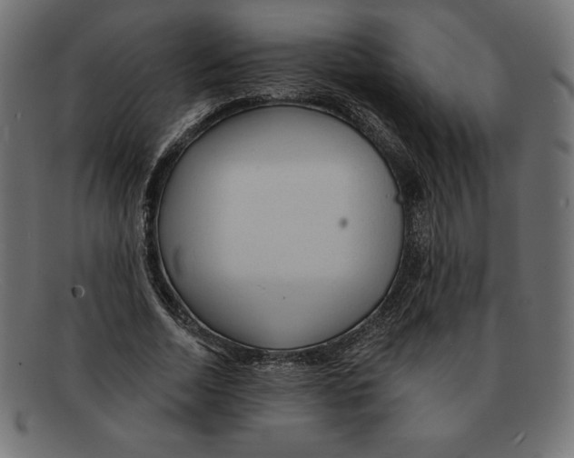 X0000092040730200710100957