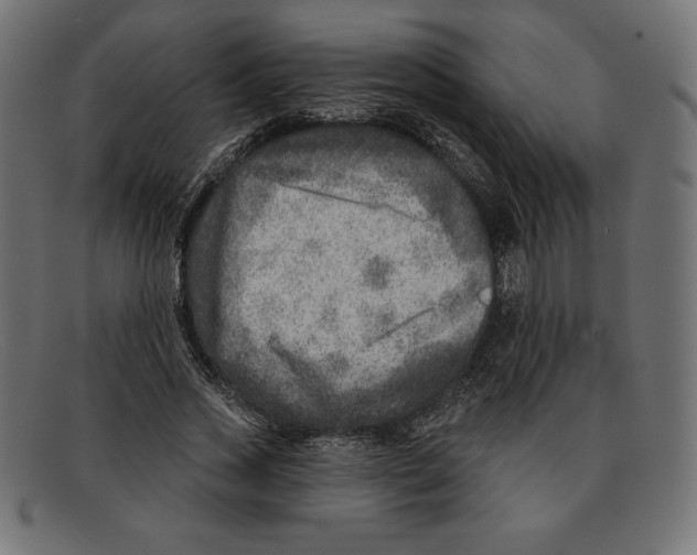 X0000092040733200710100957