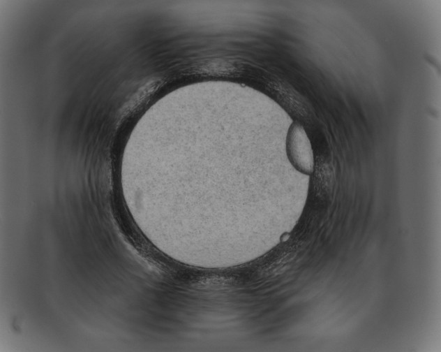 X0000092040734200710100957