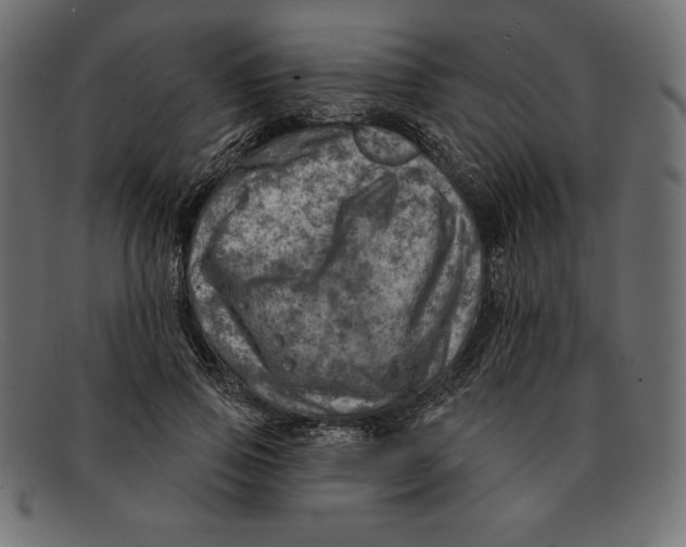 X0000092040741200710100957